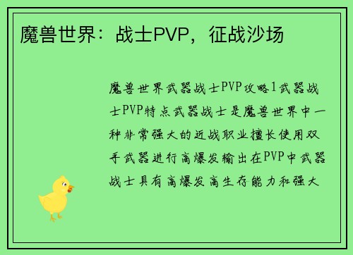 魔兽世界：战士PVP，征战沙场